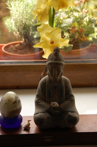the duck of sport, love & compassion with the buddha